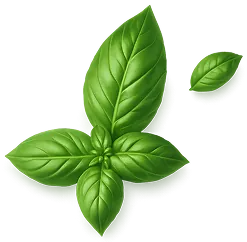 Basil Leaf